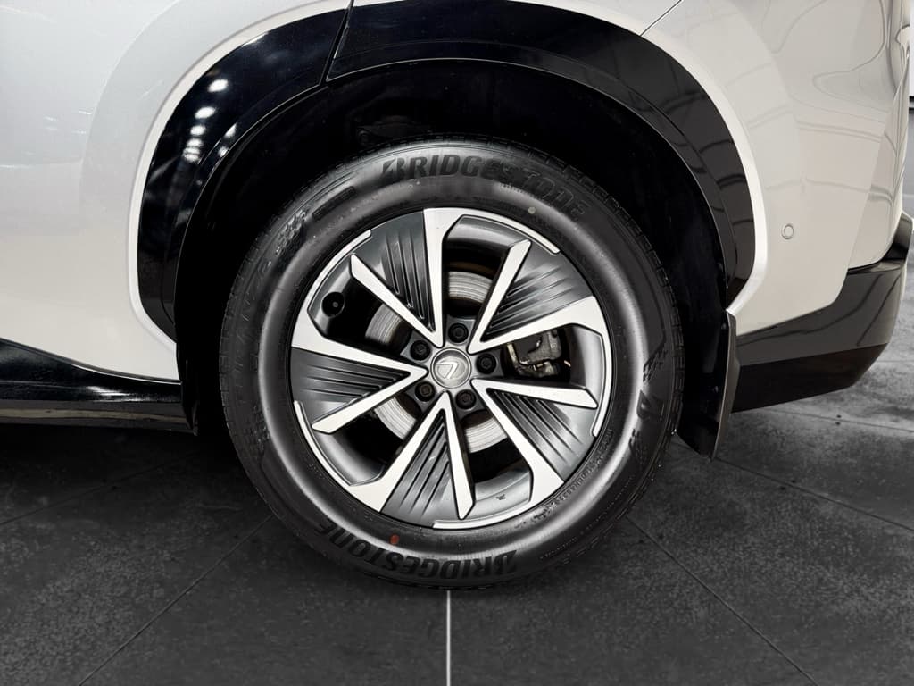 2023 Lexus RZ 450e view 29