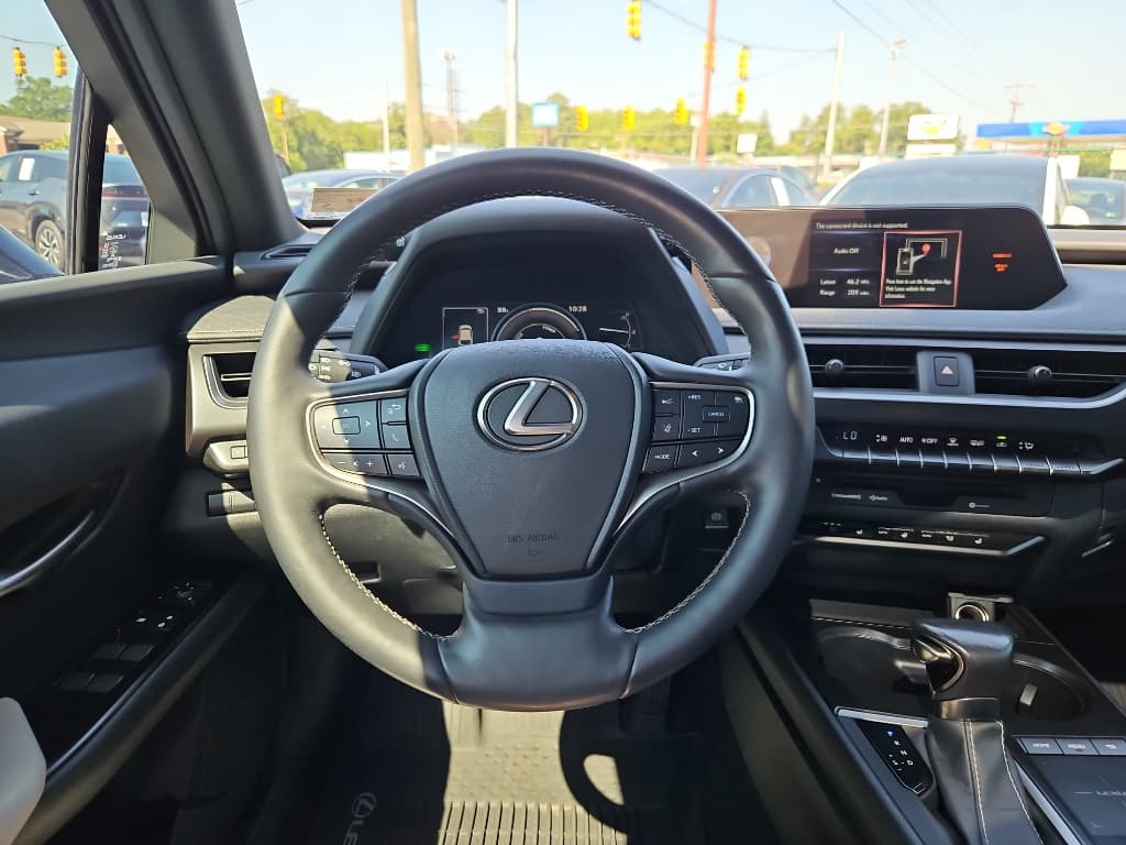 2019 Lexus UX 250h view 6