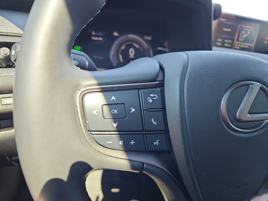 2019 Lexus UX 250h view 7