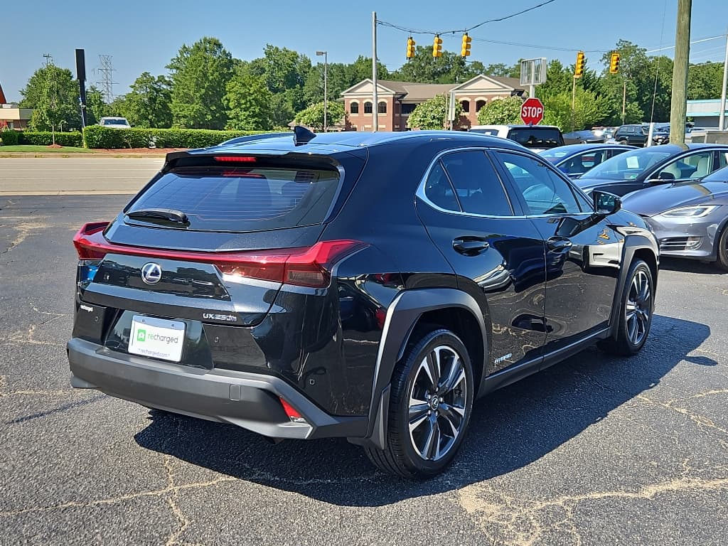 2019 Lexus UX 250h view 3