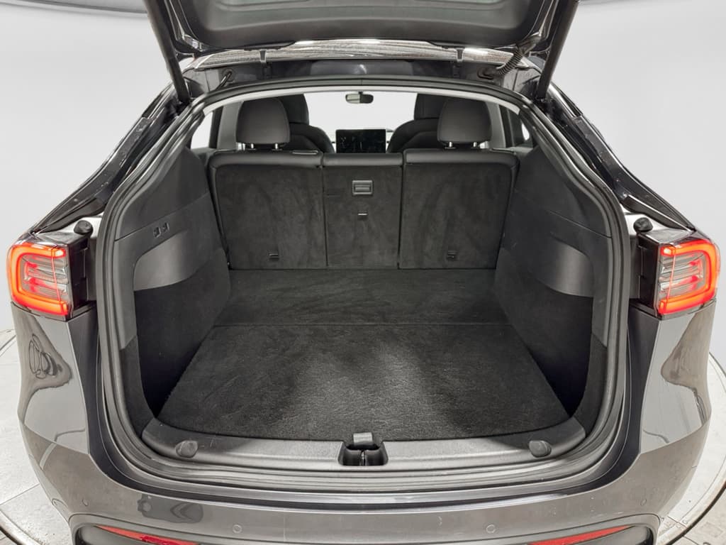 2020 Tesla Model Y view 26