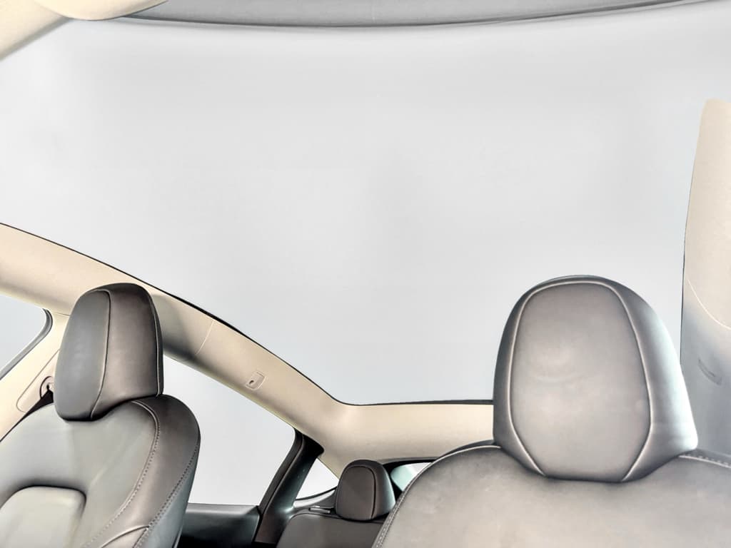 2022 Tesla Model Y view 22