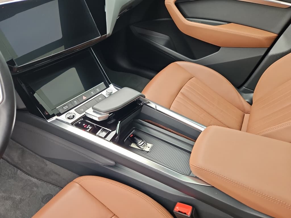 2021 Audi e-tron view 14