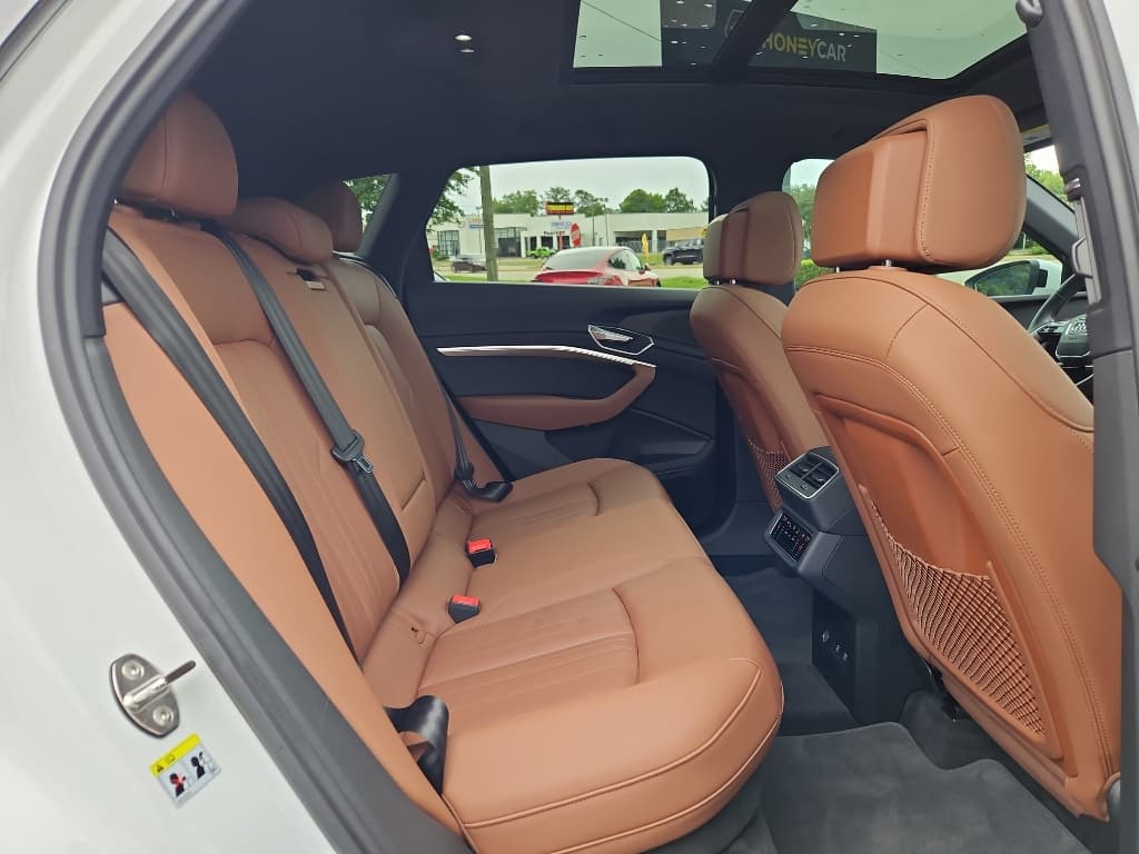 2021 Audi e-tron view 19