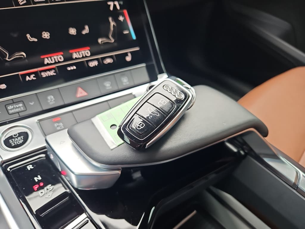 2021 Audi e-tron view 18