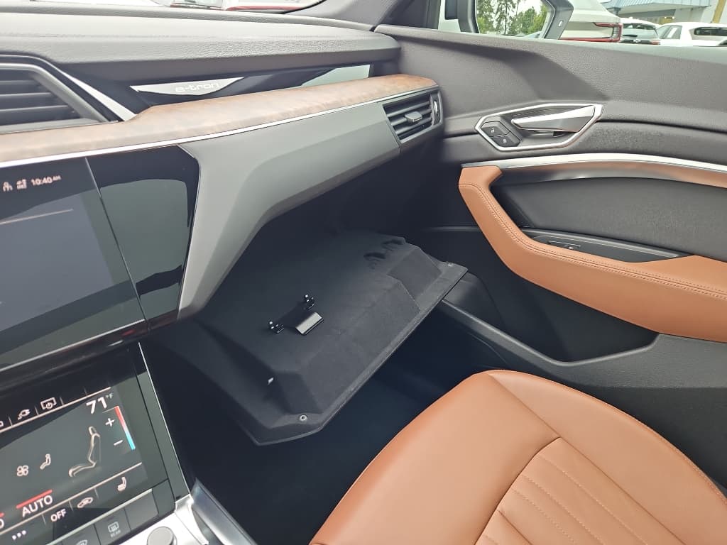 2021 Audi e-tron view 17