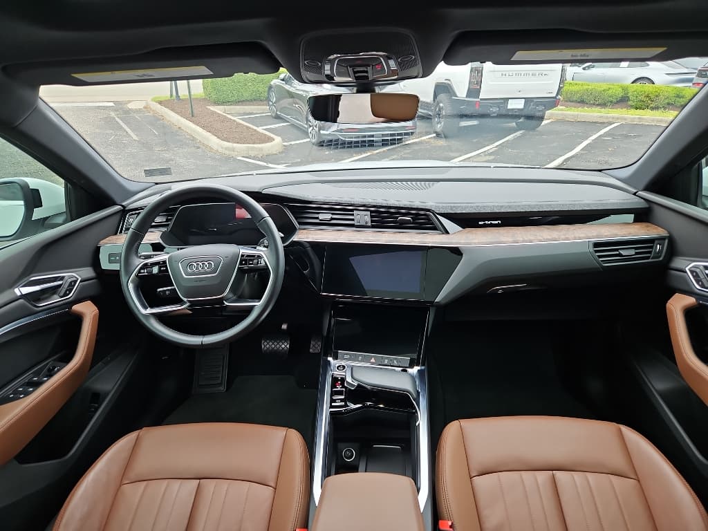 2021 Audi e-tron view 9