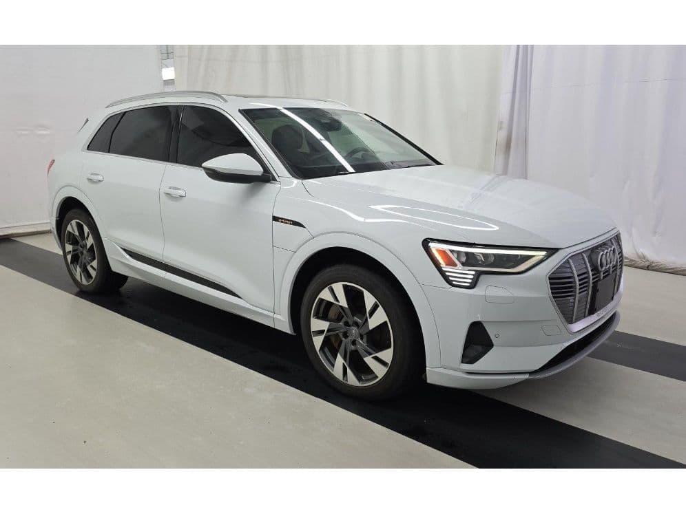 2021 Audi e-tron view 3