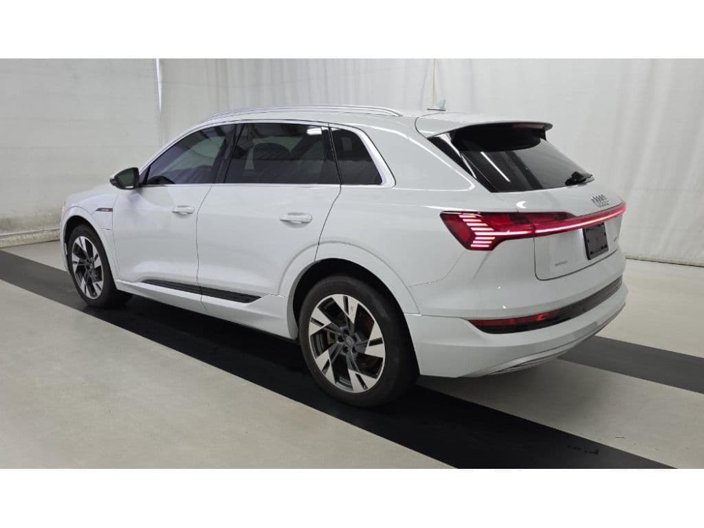 2021 Audi e-tron view 6