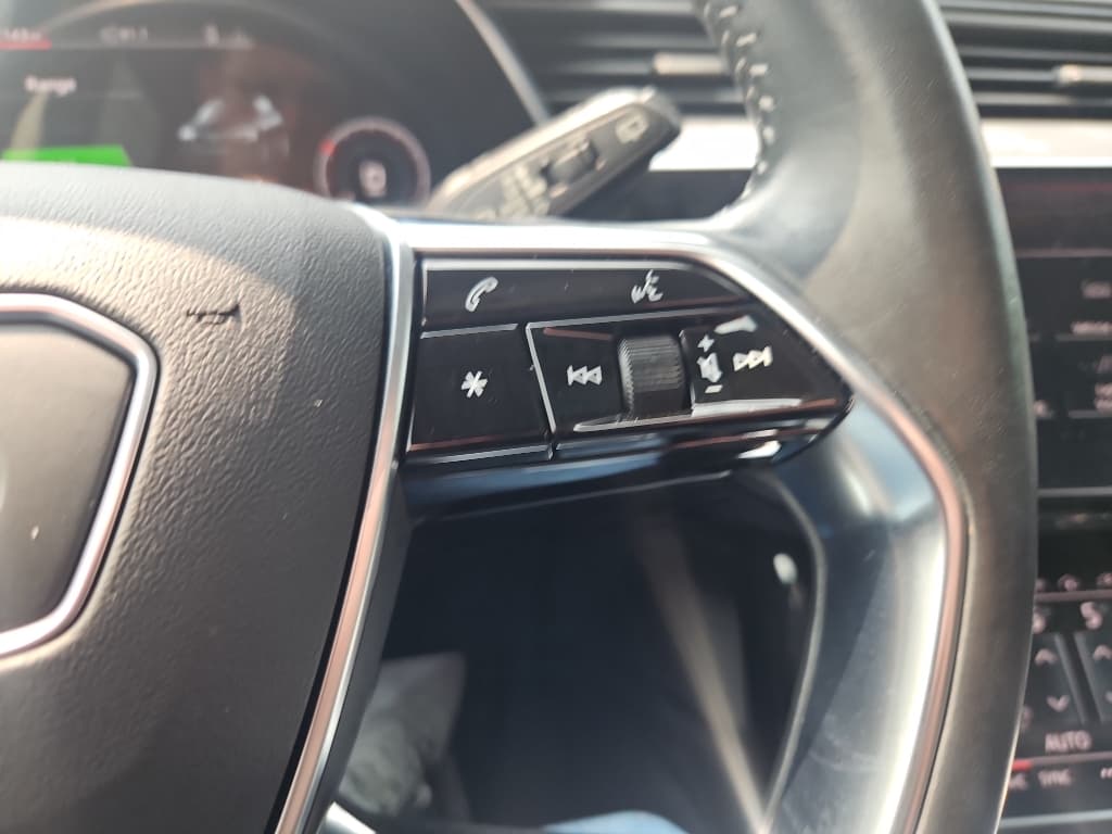 2021 Audi e-tron view 10