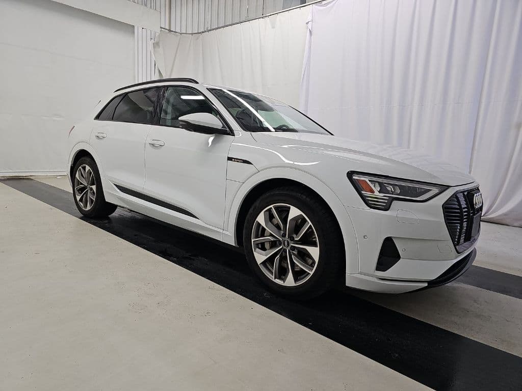 2021 Audi e-tron view 3