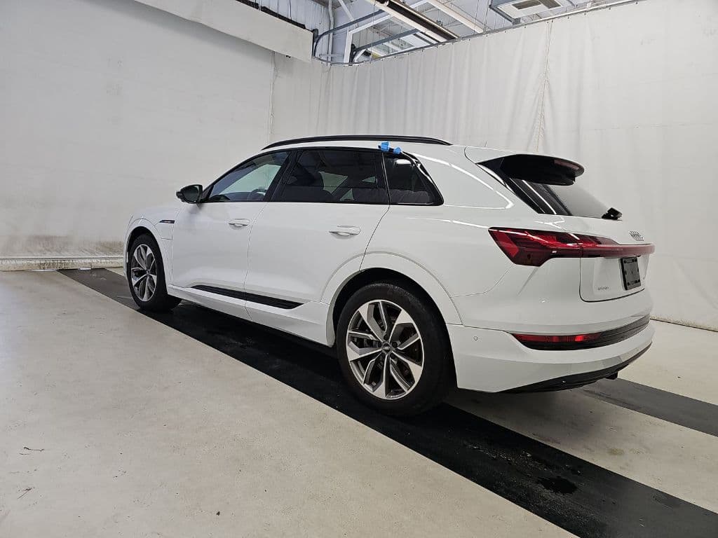 2021 Audi e-tron view 6
