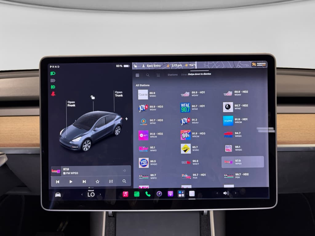 2020 Tesla Model Y view 10