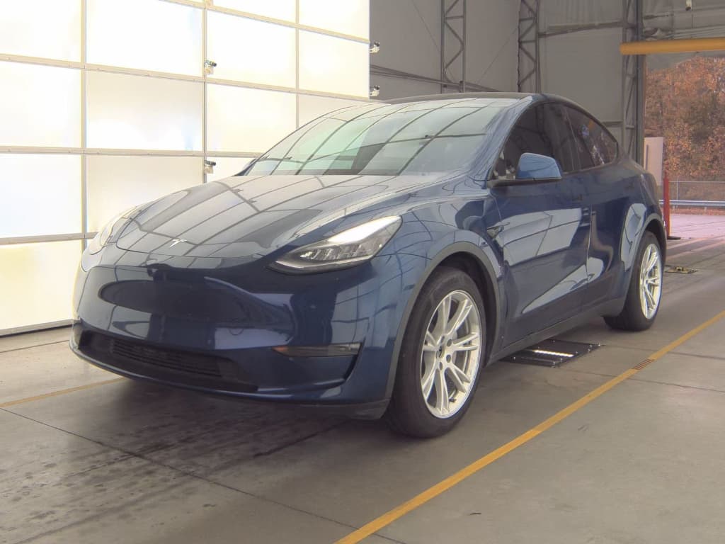 2020 Tesla Model Y view 1