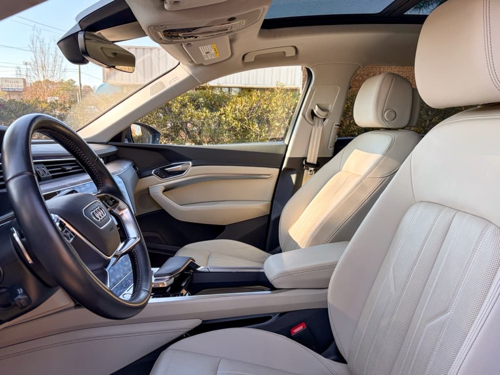 2019 Audi e-tron view 19