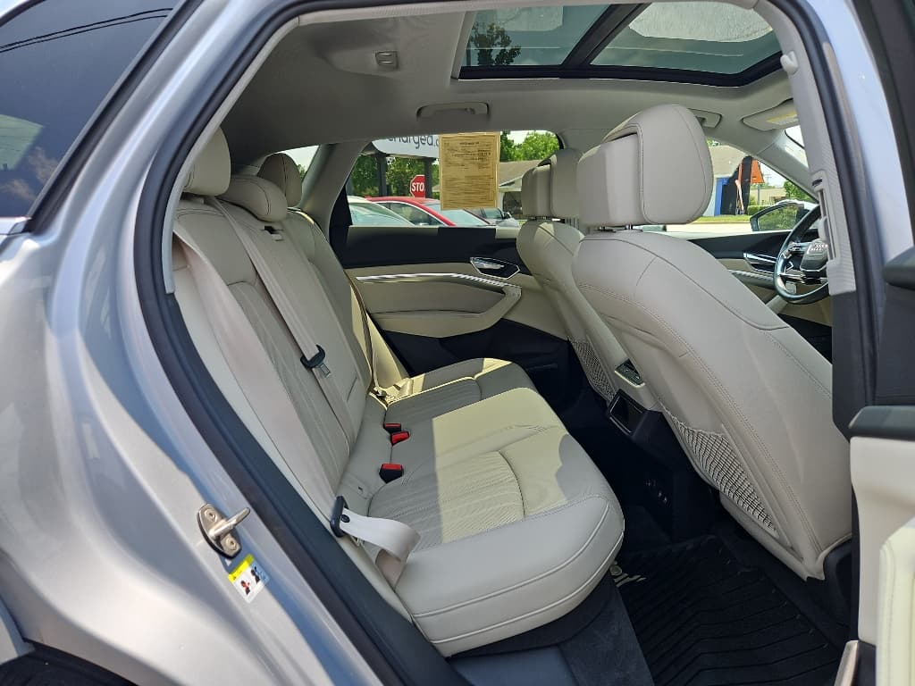 2019 Audi e-tron view 22