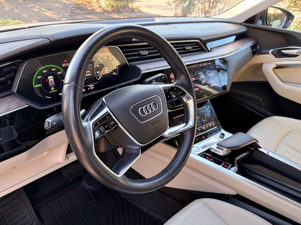 2019 Audi e-tron view 20