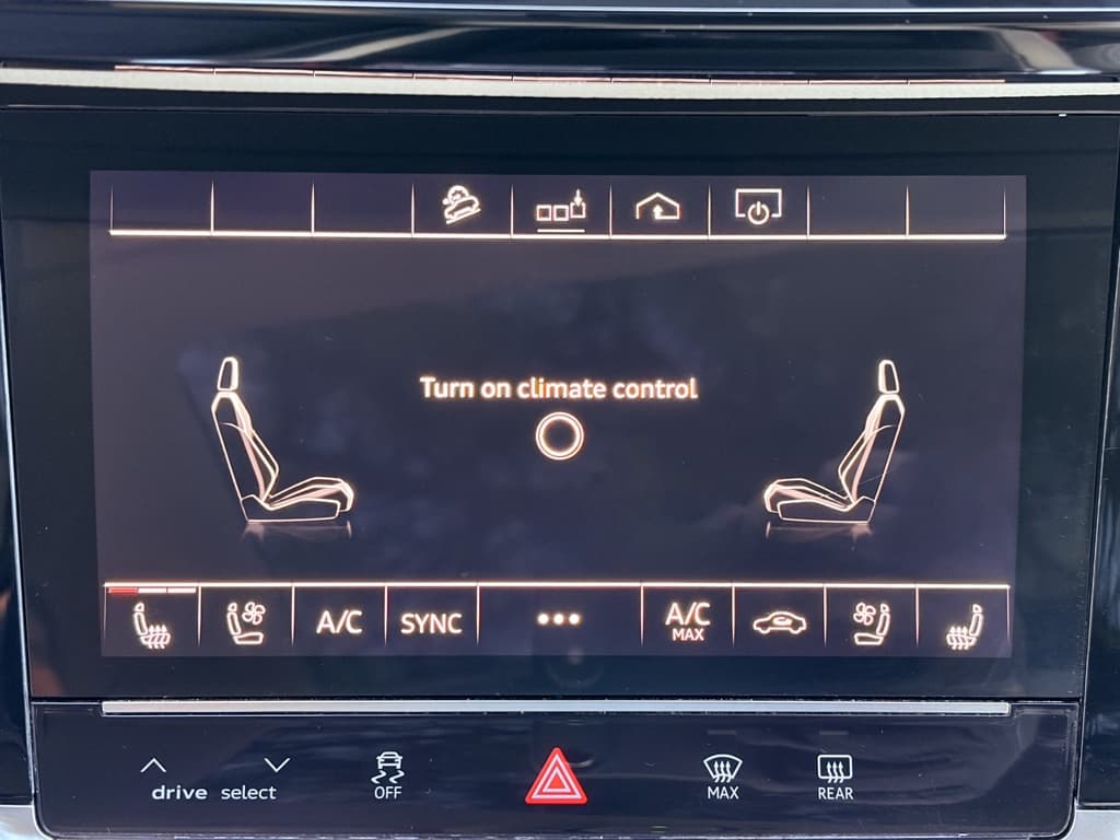 2019 Audi e-tron view 16
