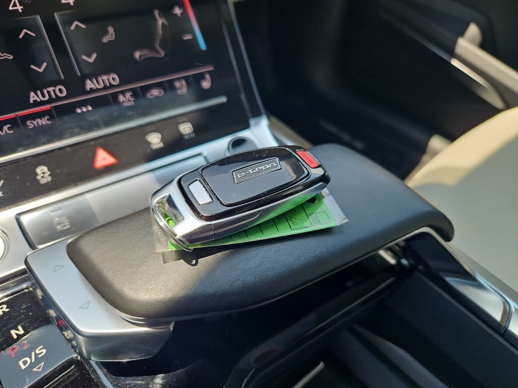 2019 Audi e-tron view 20