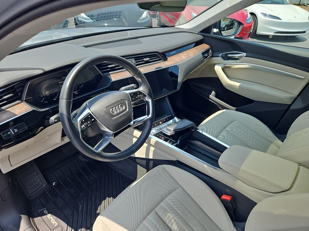 2019 Audi e-tron view 16