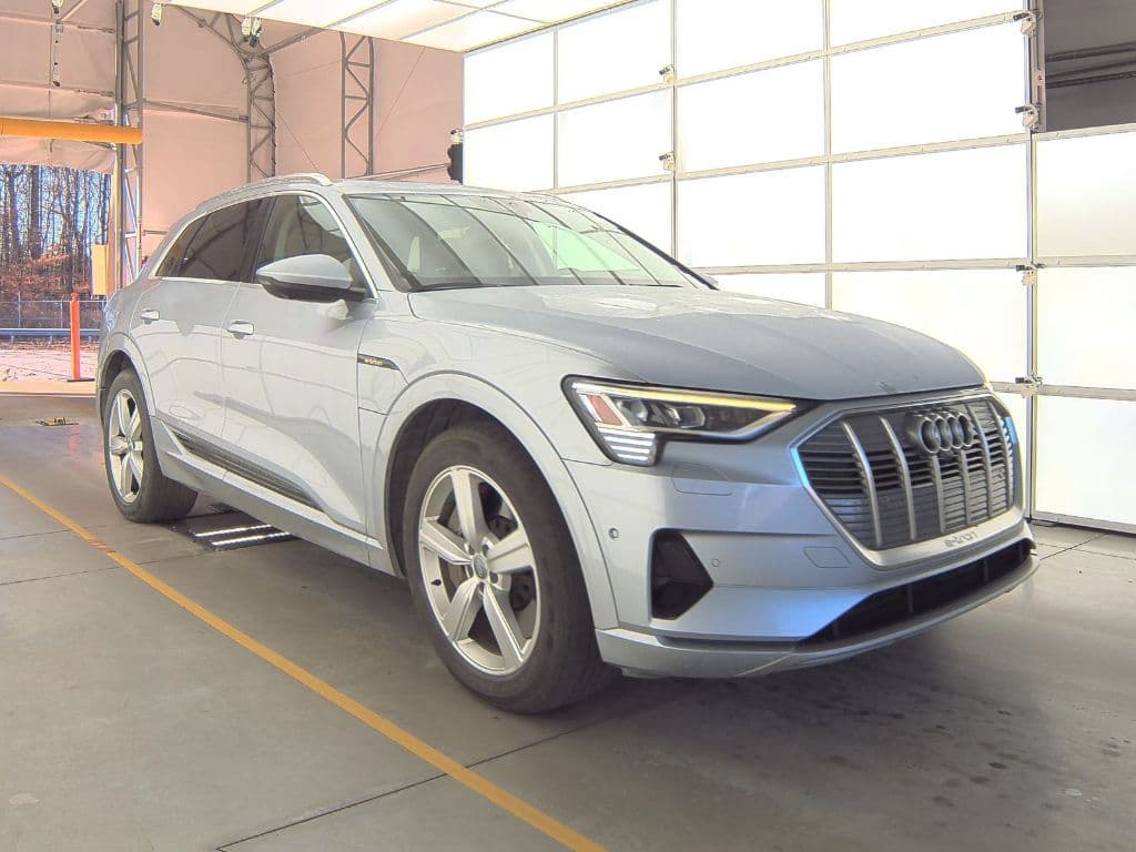 2019 Audi e-tron view 2