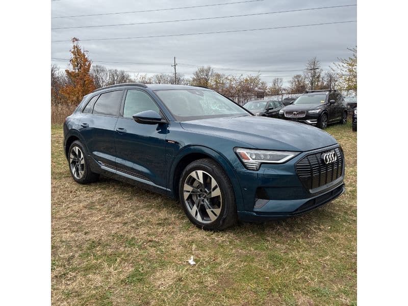 2022 Audi e-tron view 4