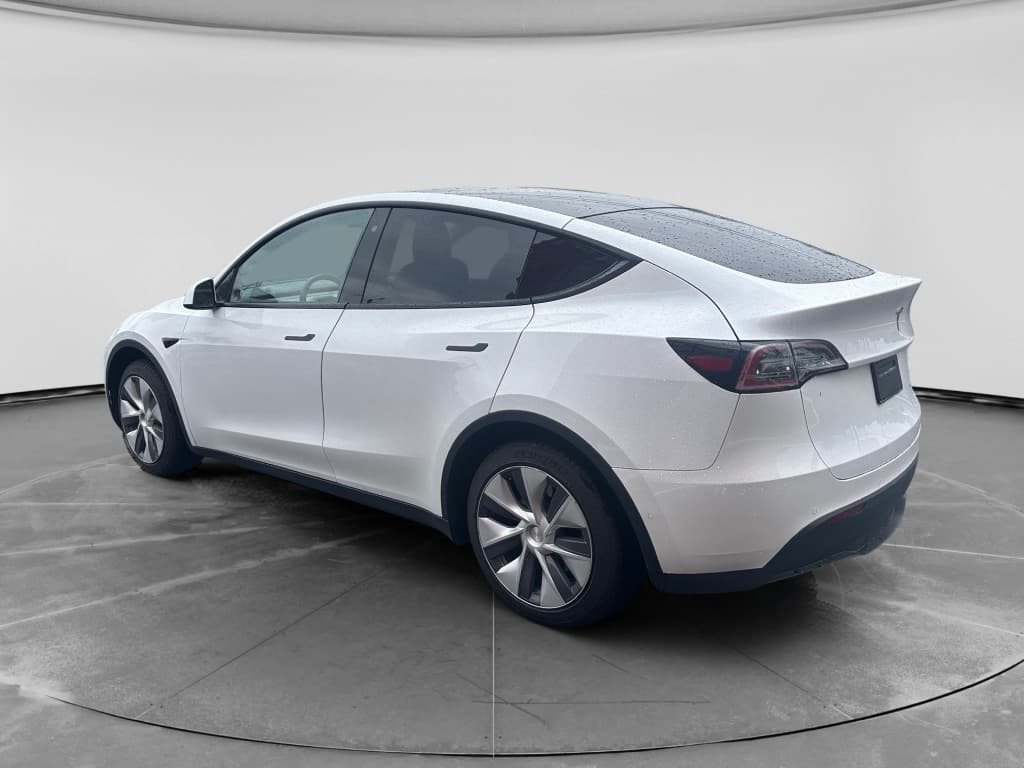 2020 Tesla Model Y view 2