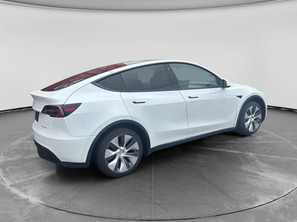 2020 Tesla Model Y view 4