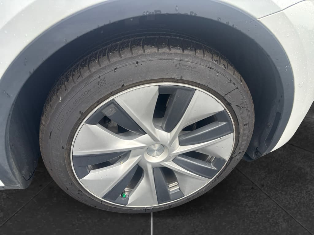 2020 Tesla Model Y view 15