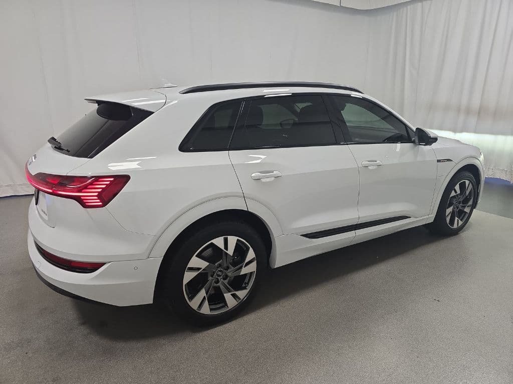 2021 Audi e-tron view 3