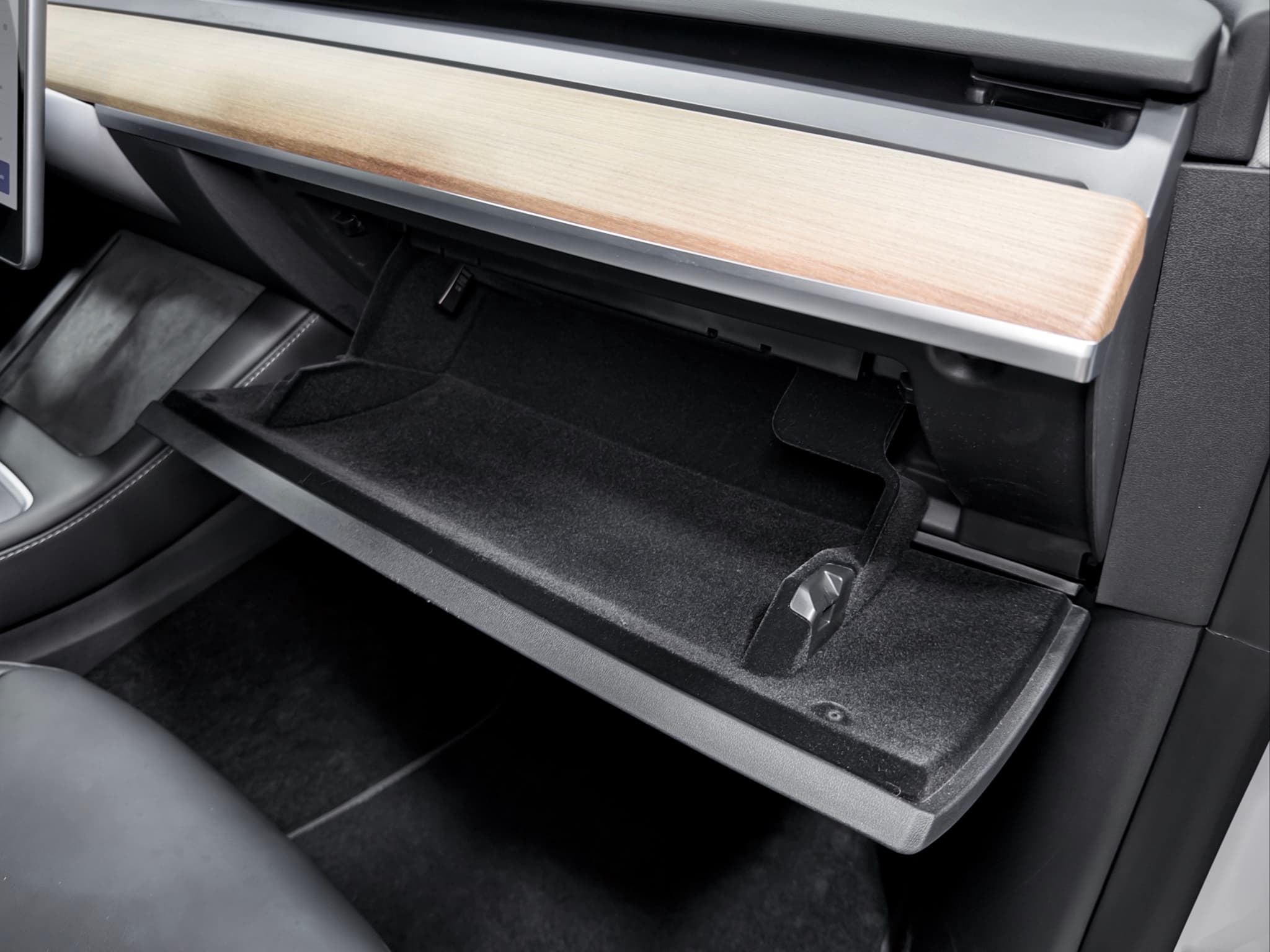 2022 Tesla Model Y view 18