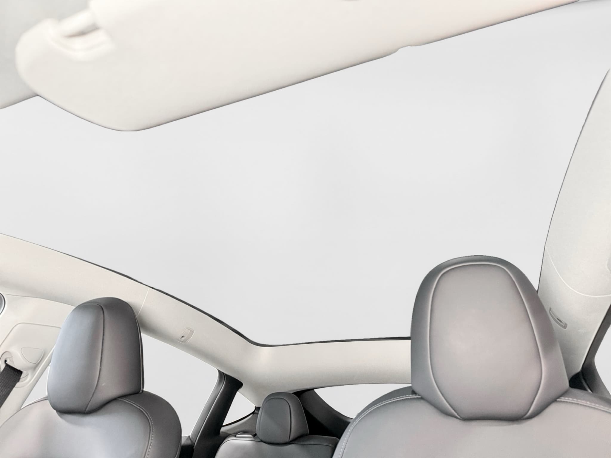 2022 Tesla Model Y view 22