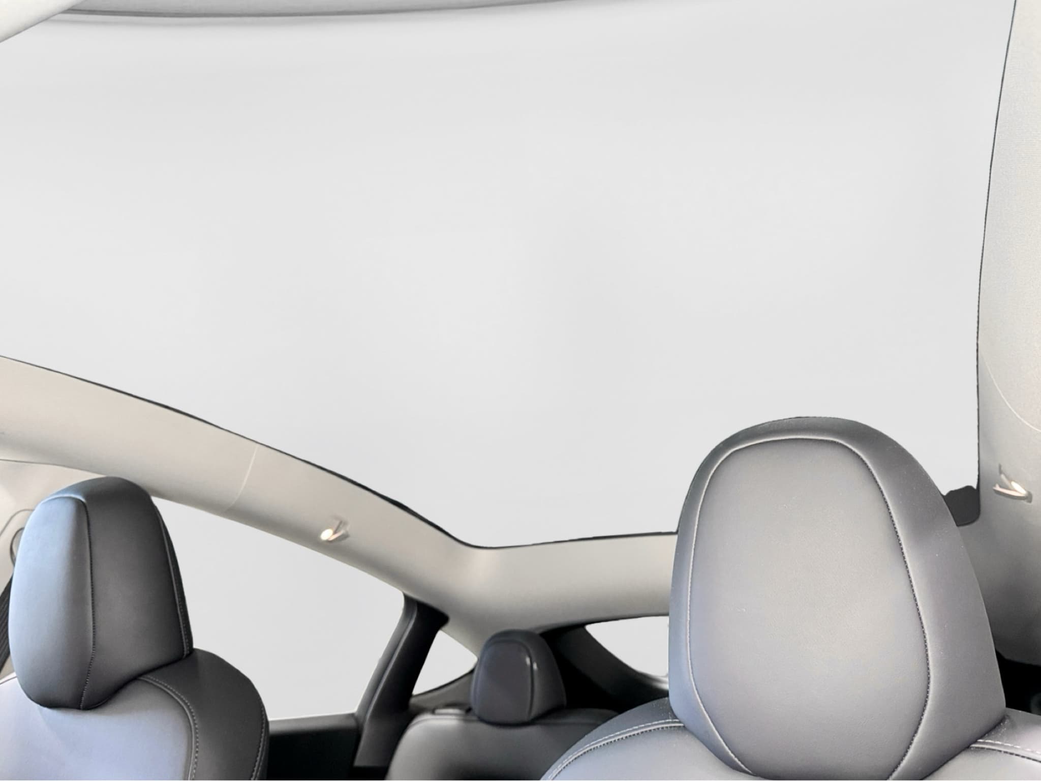 2022 Tesla Model Y view 23