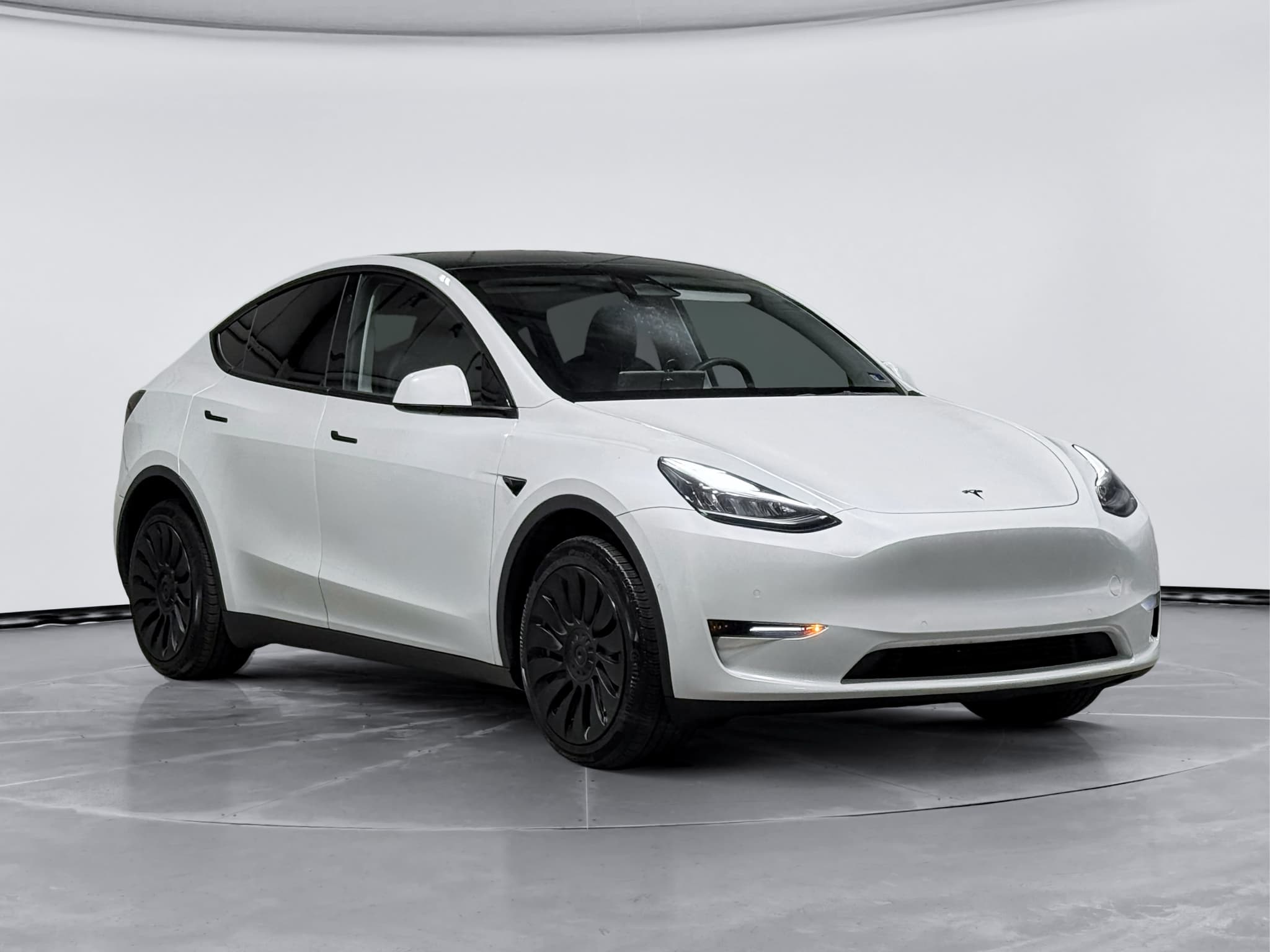 2022 Tesla Model Y view 4