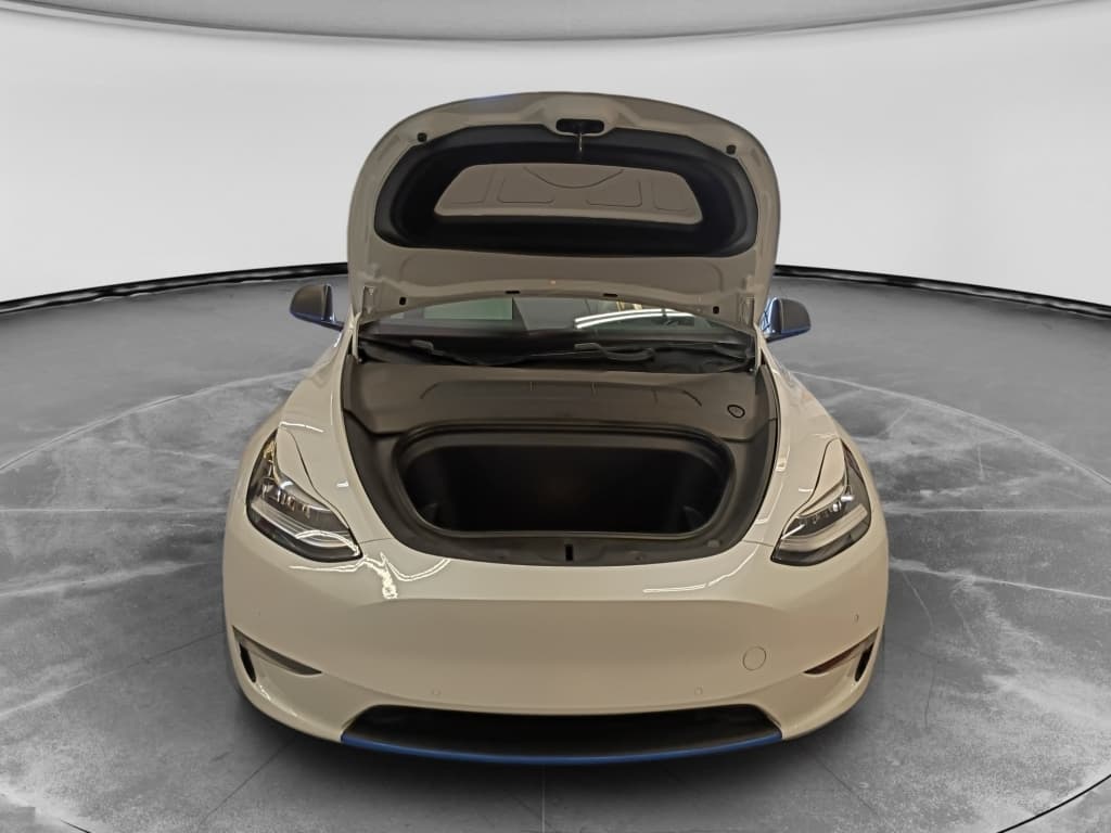 2020 Tesla Model Y view 5