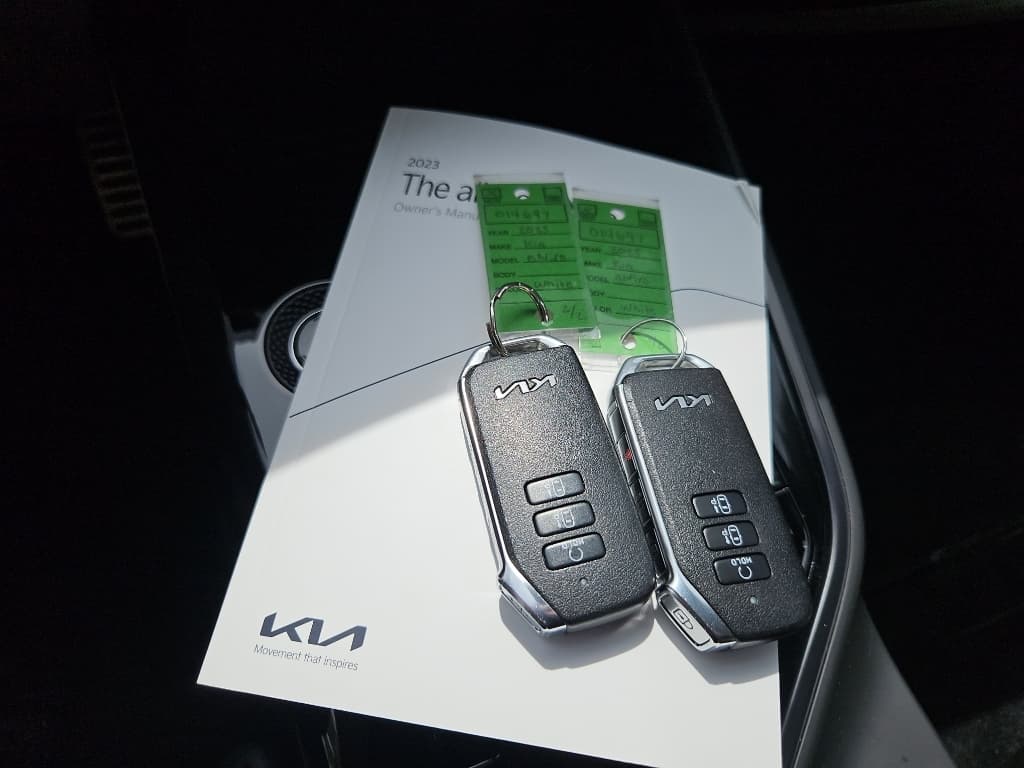 2023 Kia Niro EV view 21