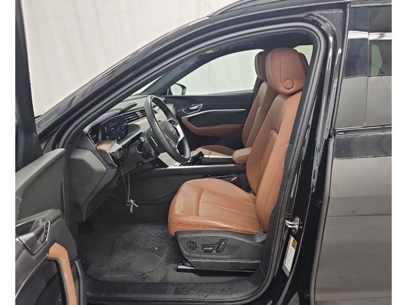 2021 Audi e-tron view 6