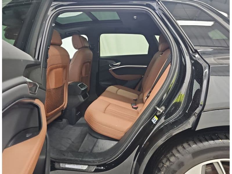 2021 Audi e-tron view 8