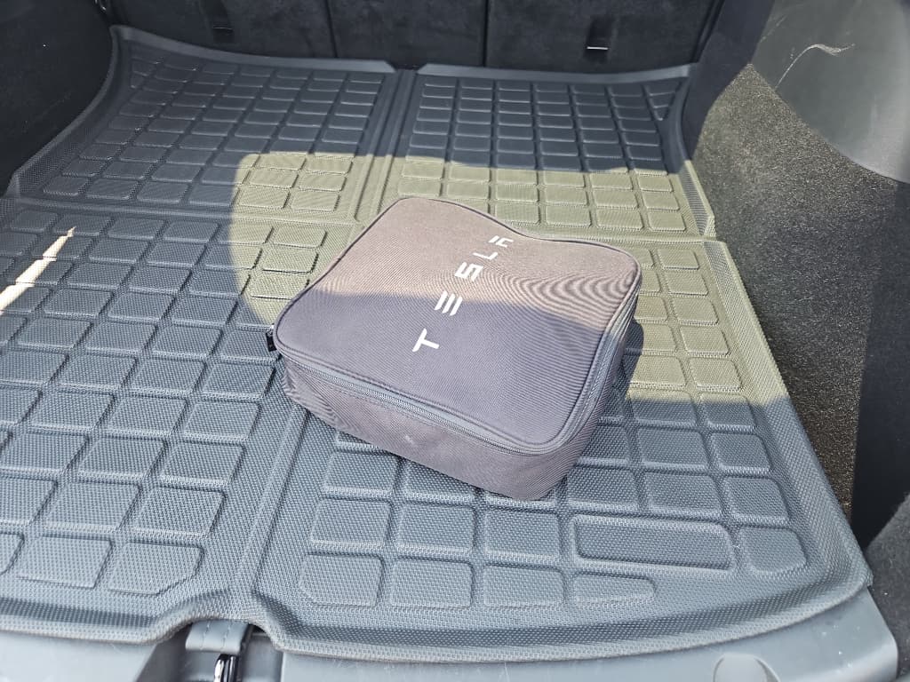 2020 Tesla Model Y view 6