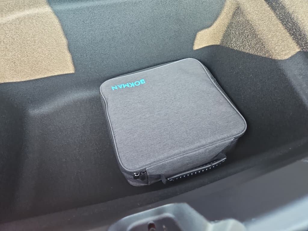 2021 Tesla Model 3 view 6