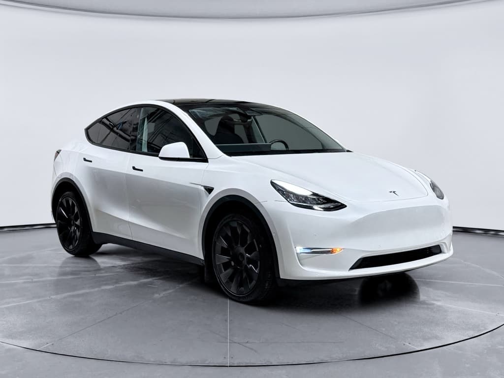 2022 Tesla Model Y view 4
