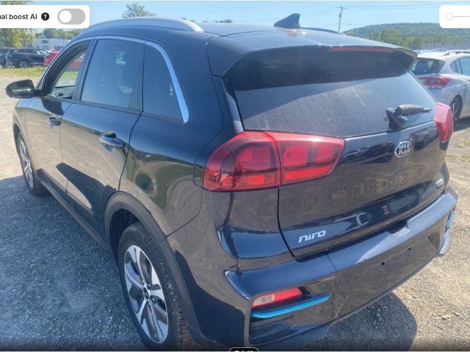 2019 Kia Niro EV view 4