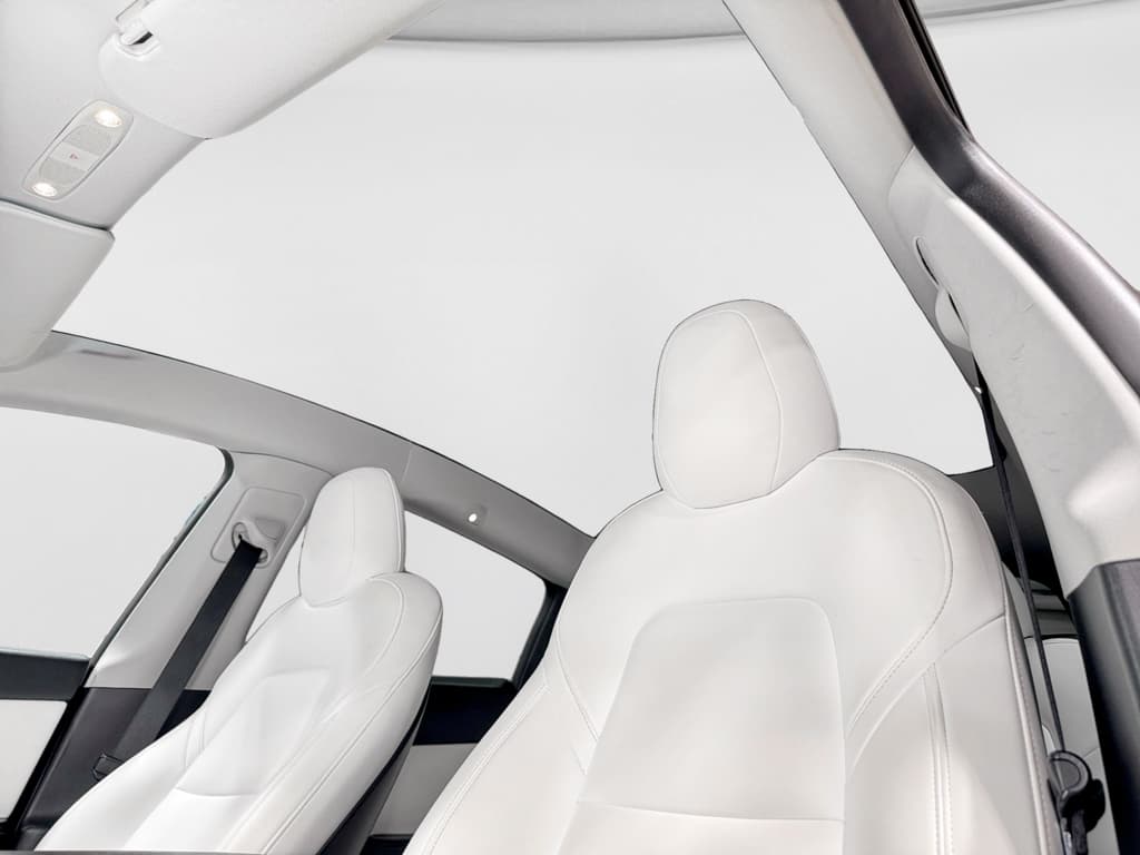 2020 Tesla Model Y view 22
