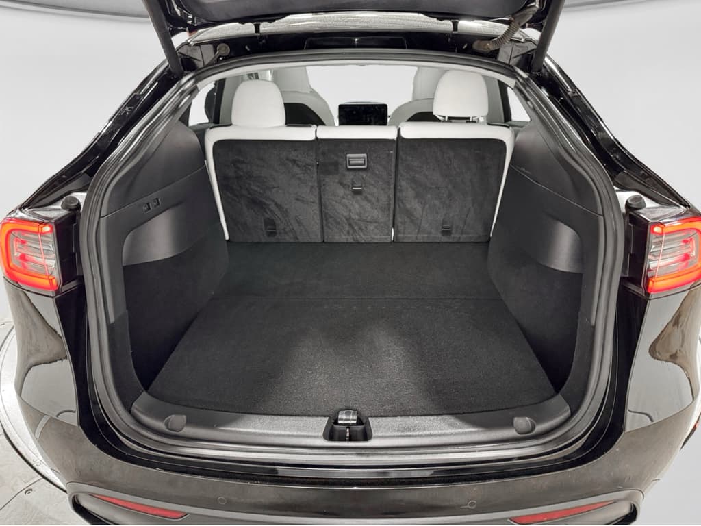 2020 Tesla Model Y view 25