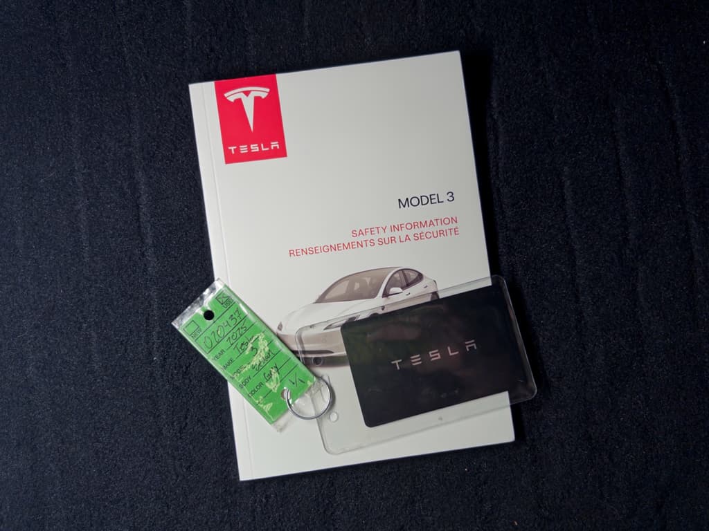 2025 Tesla Model 3 view 22