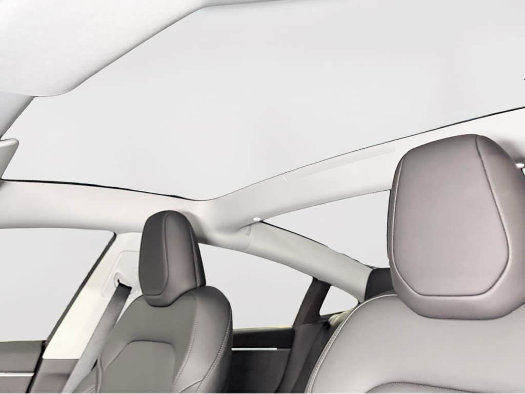 2025 Tesla Model 3 view 23