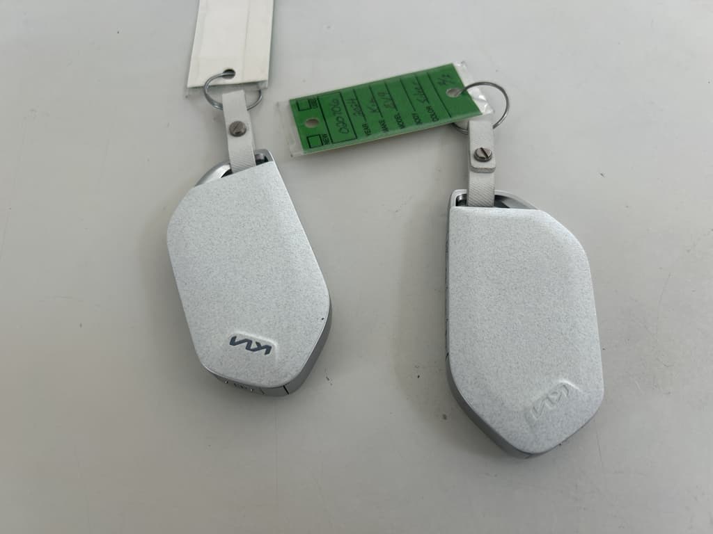 2024 Kia EV9 view 21