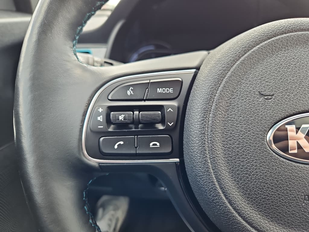 2019 Kia Niro EV view 18