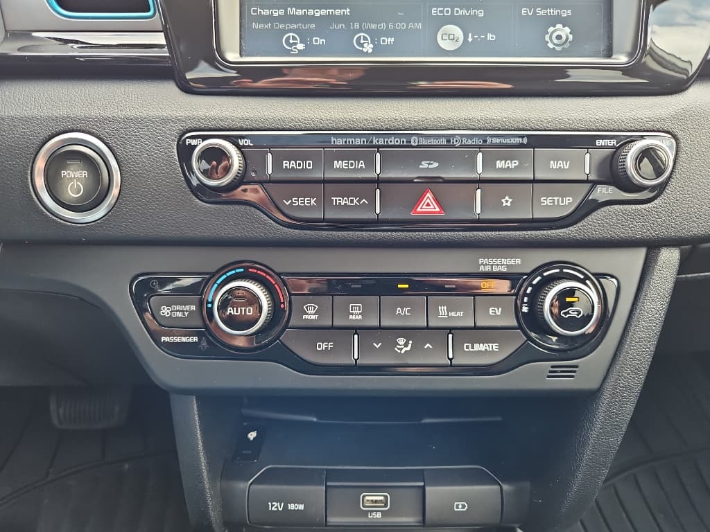 2019 Kia Niro EV view 15