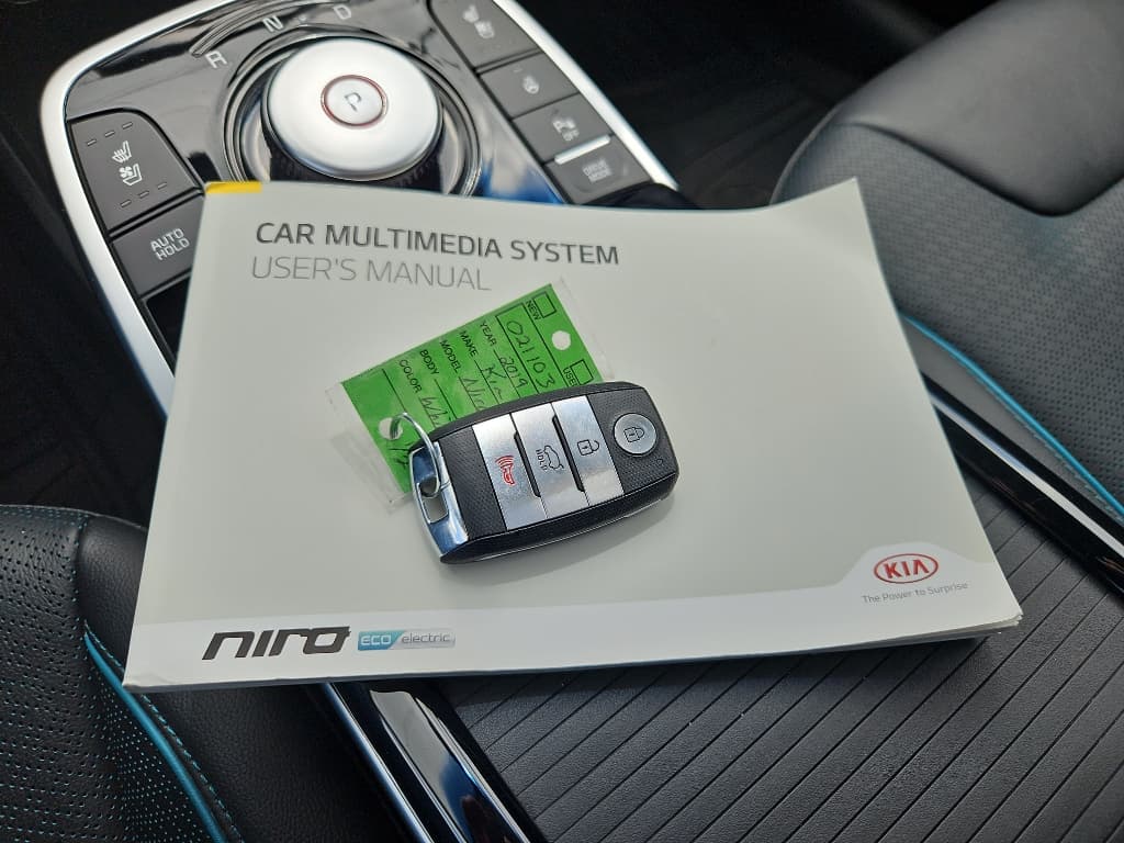 2019 Kia Niro EV view 23